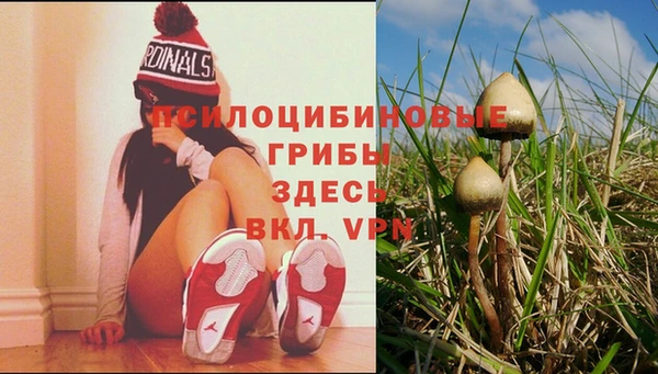 каннабис Богданович