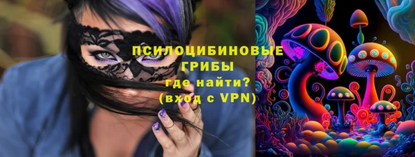 спайс Верея