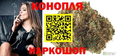стафф Моздок