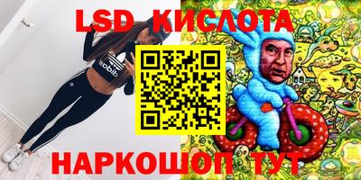стафф Моздок