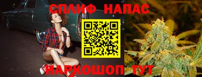 стафф Моздок