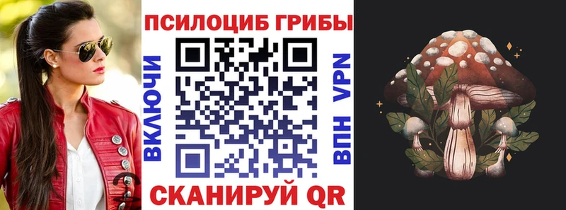 Галлюциногенные грибы Psilocybe  Северск 