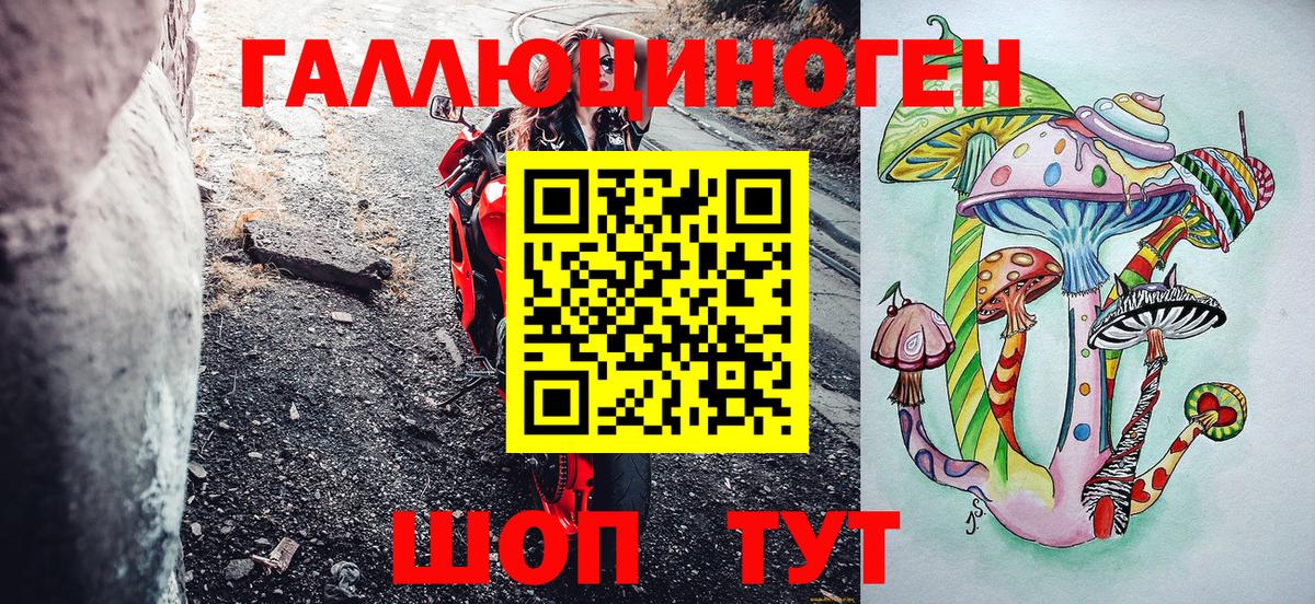 Псилоцибиновые грибы MAGIC MUSHROOMS  Галлюциногенные грибы MAGIC MUSHROOMS  Вход с VPN  Северск 